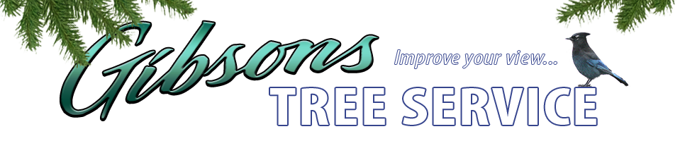 Gibsons Tree Service - Tree Pruning, Tree Trimming, Tree Removal, Sunshine Coast, Sechelt, Gibsons, BC,