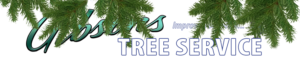 Gibsons Tree Service - Tree Pruning, Tree Trimming, Tree Removal, Sunshine Coast, Sechelt, Gibsons, BC,